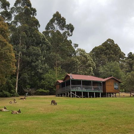Walpole Wilderness Resort Exteriér fotografie